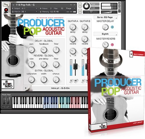 In Session Audio Producer Pop Acoustic Guitar MULTiFORMAT-FANTASTiC