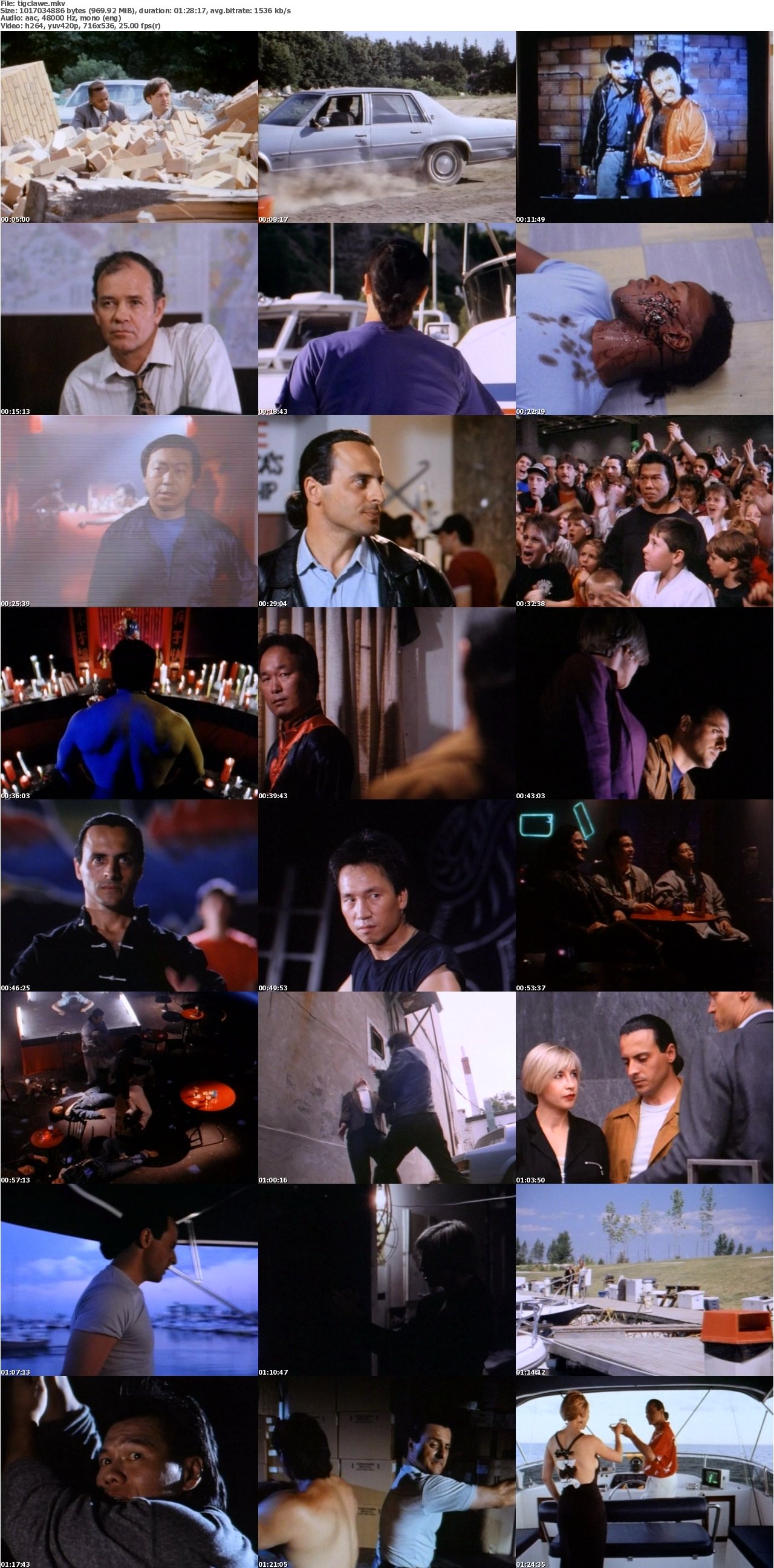 Tiger Claws 1991 DVDRiP x264-RAiNDEER
