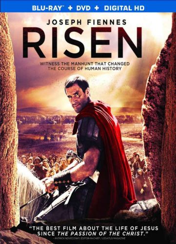 Risen 2016 BDRip x264 AC3 RoSubbed-playSD