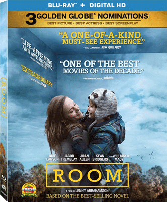 Room (2015) .avi BDRip AC3 iTALiAN
