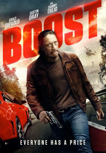 Boost 2016 BDRip x264 AC3-playSD