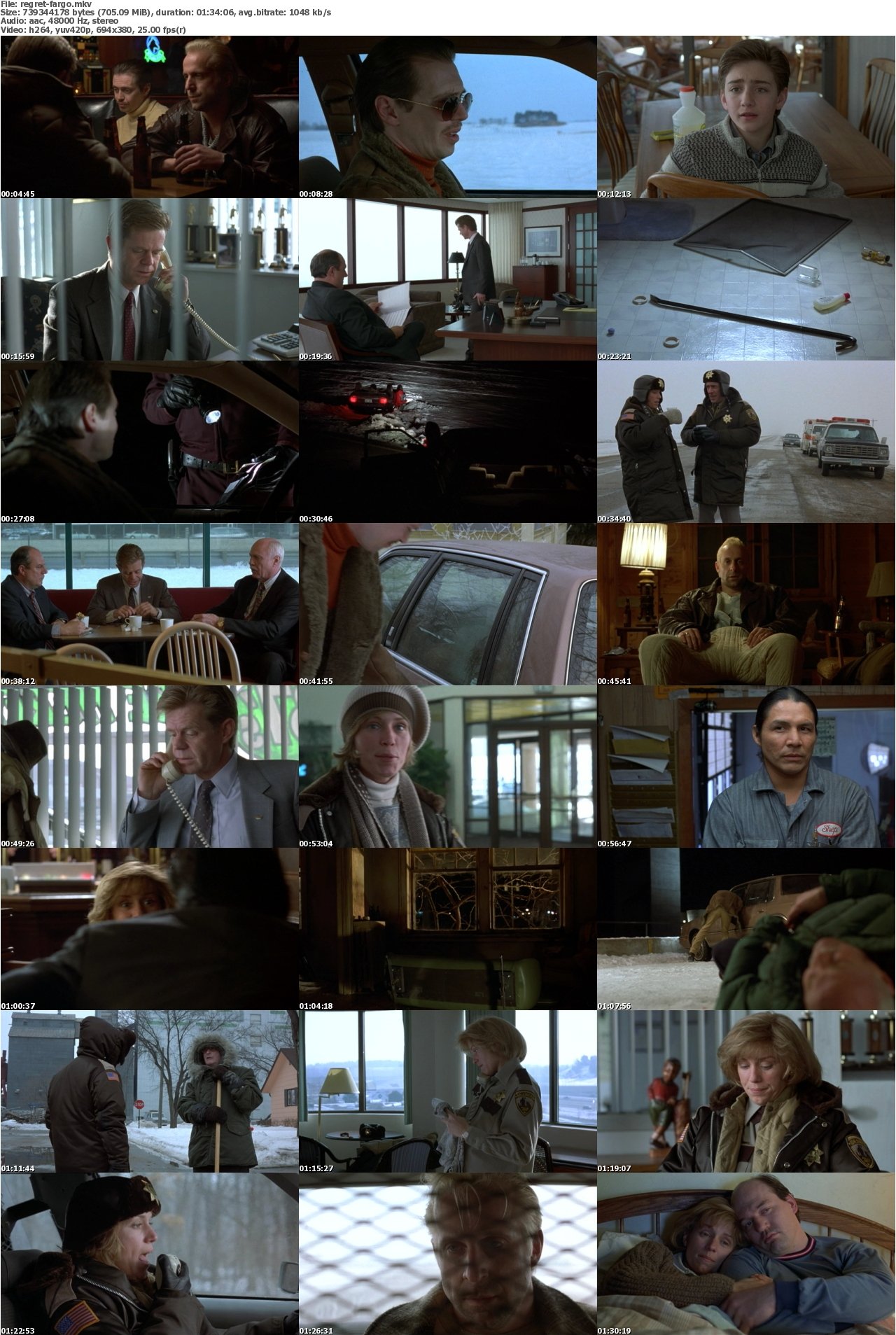 Fargo 1996 iNTERNAL DVDRip x264-REGRET