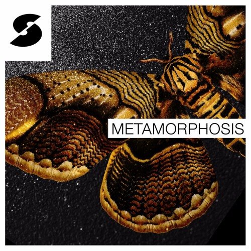 Samplephonics Metamorphosis MULTiFORMAT-FANTASTiC