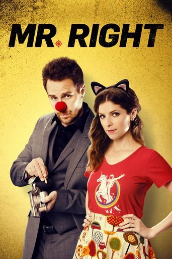Mr Right 2015 BDRip x264 AC3-playSD