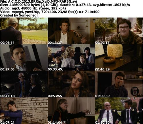 A.C.O.D 2013 BRRip XviD MP3-RARBG