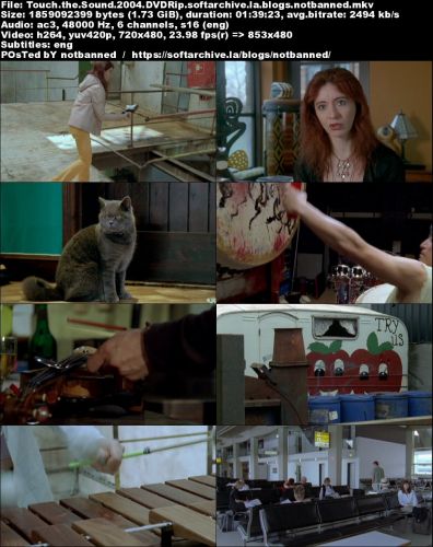 Touch the Sound: A Sound Journey with Evelyn Glennie (2004) DVDRip x264 HANDJOB
