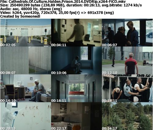 Cathedrals Of Culture Halden Prison 2014 DVDRip x264-FiCO