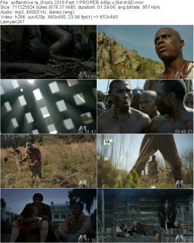 Roots 2016 Part 1 PROPER 480p x264-mSD