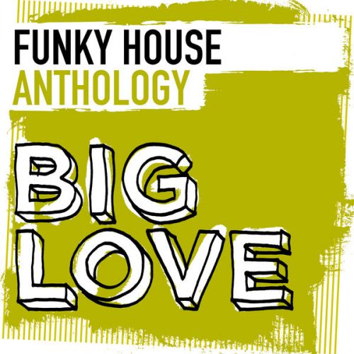 VA - Big Love Funky House Anthology (2016)