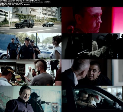 Pitbull: New orders (2016) 720p BRRip 1.1GB - MkvCage
