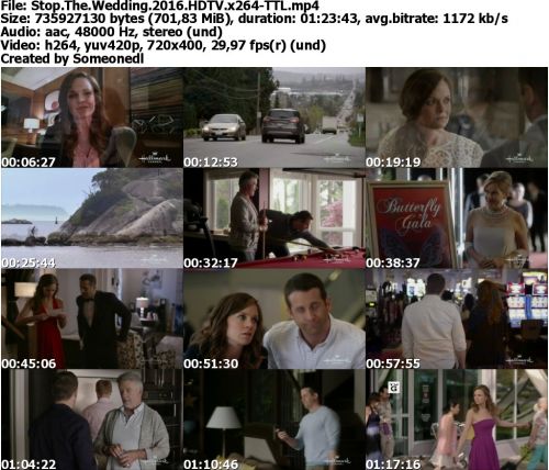 Stop The Wedding 2016 HDTV x264-TTL