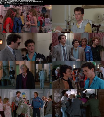 Bachelor Party 1984 BDRip x264 AC3 Rosubbed-playSD