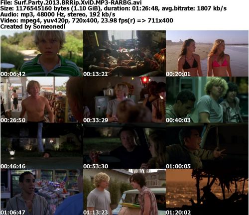 Surf Party 2013 BRRip XviD MP3-RARBG