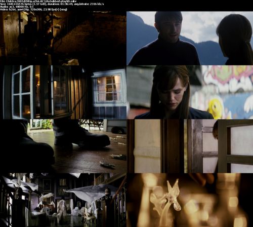 Elektra 2005 BDRip x264 AC3 RoSubbed-playSD