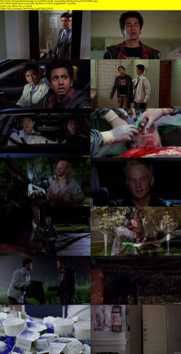 Harold and Kumar Go To White Castle 2004 1080p BluRay H264 AAC-RARBG