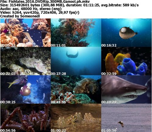 Fishtales 2016 DVDRip 300MB Ganool