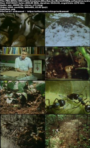 PBS Nova - Little Creatures who Run the World (1995) DVDRip x264-MVGroup