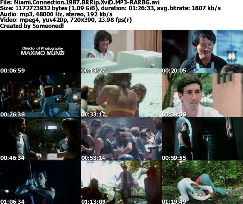 Miami Connection 1987 BRRip XviD MP3-RARBG