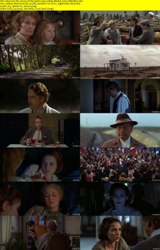 The House of the Spirits 1993 1080p BluRay X264-AMIABLE