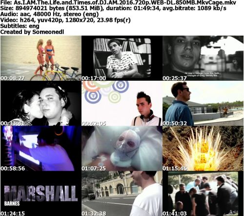 As I AM The Life and Times of DJ AM 2016 720p WEB-DL 850MB MkvCage