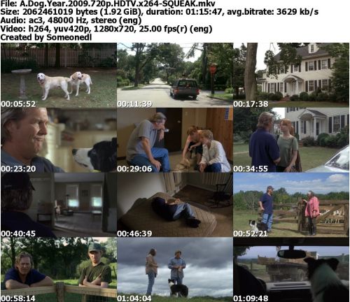 A Dog Year 2009 720p HDTV x264-SQUEAK