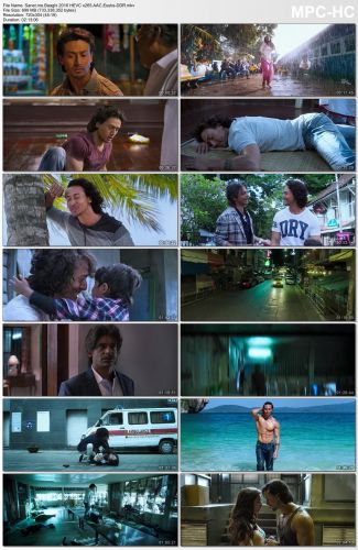 Baaghi 2016 DVDRip HEVC x265 AAC Esubs-DDR