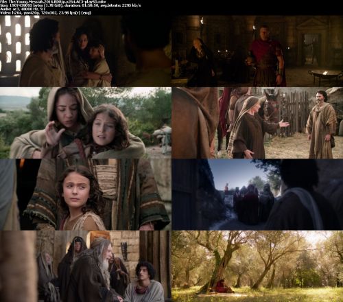 The Young Messiah 2016 BDRip x264 AC3-playSD