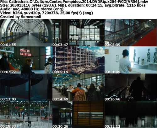 Cathedrals Of Culture Centre Pompidou 2014 DVDRip x264-FiCO