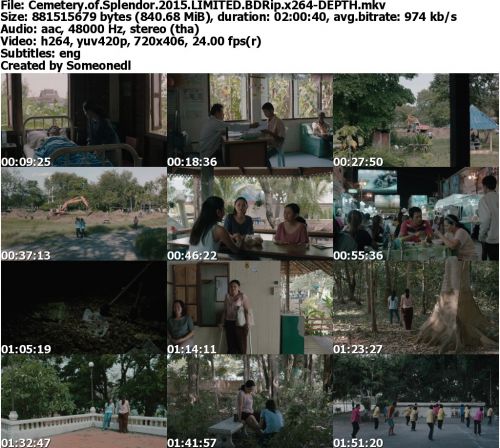 Cemetery of Splendor 2015 LIMITED BDRip x264-DEPTH