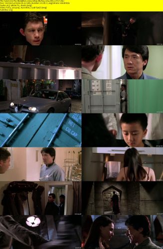The Medallion 2003 1080p BluRay x264 DD2.0-FGT