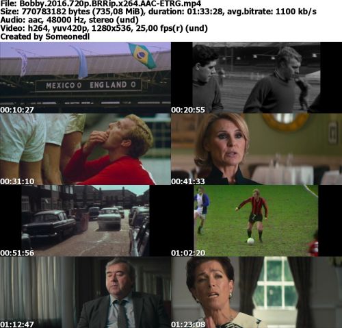 Bobby 2016 720p BRRip x264 AAC-ETRG