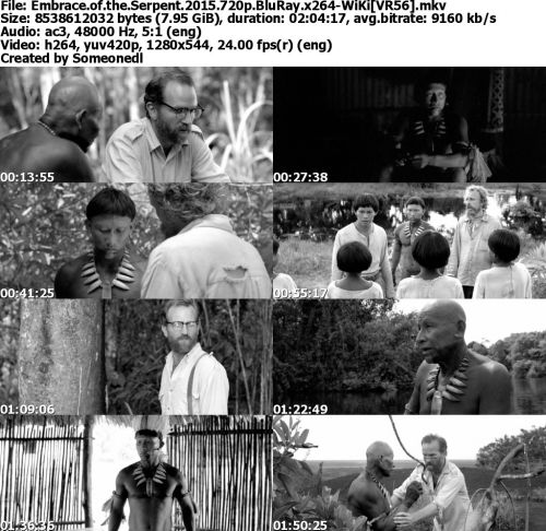 Embrace of the Serpent 2015 720p BluRay x264-WiKi