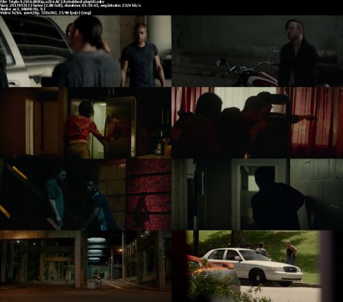 Triple 9 2016 BDRip x264 AC3-playSD