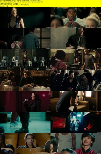 Fame 2009 EXTENDED 1080p BluRay x264 DTS-FGT