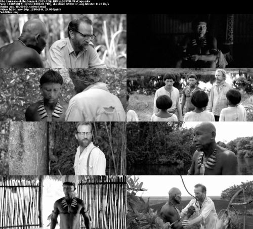 Embrace of the Serpent (2015) 720p BRRip 999MB - MkvCage