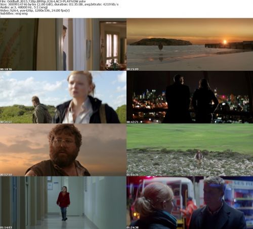 Oddball 2015 720p BRRip X264 AC3-PLAYNOW