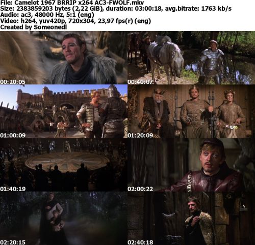 Camelot 1967 BRRIP x264 AC3-FWOLF