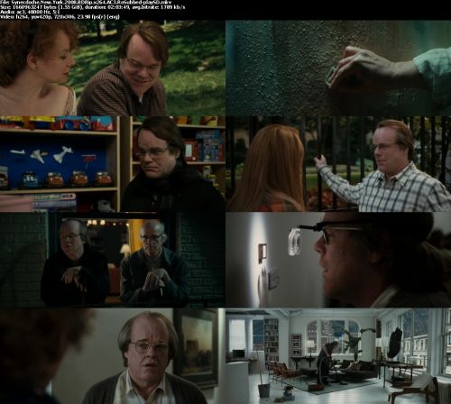 Synecdoche New York 2008 BDRip x264 AC3 RoSubbed-playSD