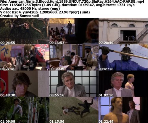 American Ninja 3 Blood Hunt 1989 UNCUT 720p BluRay H264 AAC-RARBG