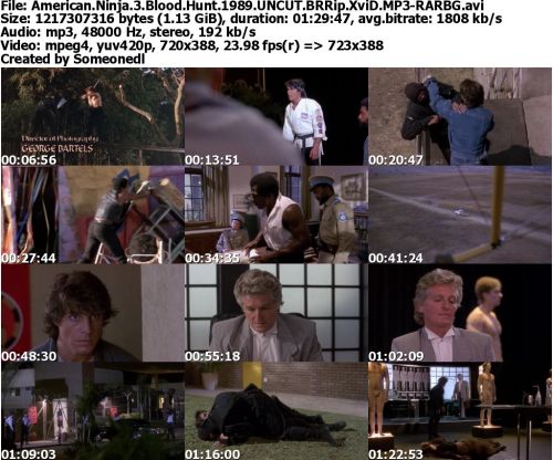 American Ninja 3 Blood Hunt 1989 UNCUT BRRip XviD MP3-RARBG