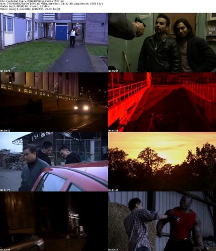Cash And Curry 2008 DVDRip XviD-VoMiT repost