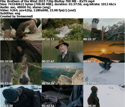 Brothers of the Wind 2015 720p BluRay 700 MB - iExTV