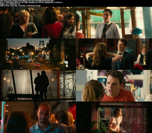 How to Be Single 2016 BDRip x264 AC3 RoSubbed-playSD