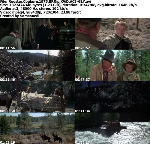 Rooster Cogburn 1975 BRRip XViD AC3-GLY
