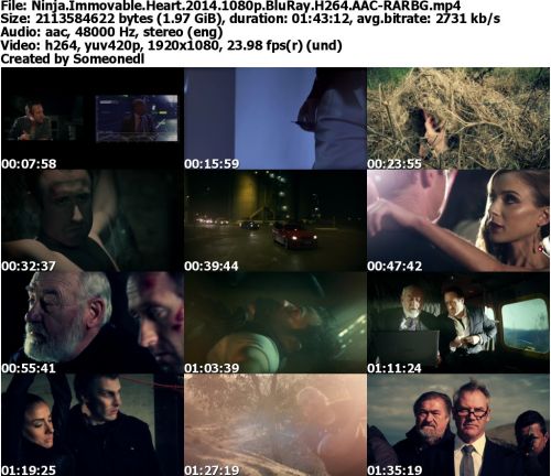 Ninja Immovable Heart 2014 1080p BluRay H264 AAC-RARBG