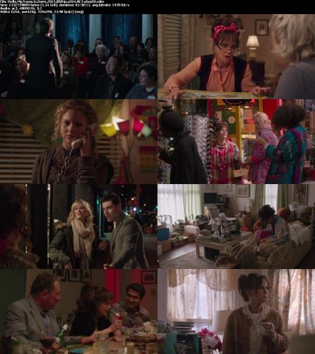 Hello My Name Is Doris 2015 BDRip x264 AC3-playSD