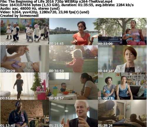The Beginning of Life 2016 720p WEBRip x264-TheRival