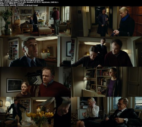 Carnage 2011 BDRip x264 AC3-playSD