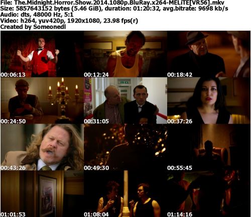 The Midnight Horror Show 2014 1080p BluRay x264-MELiTE