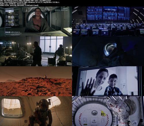 The Martian (2015) 480p 2ch BRRip AAC x264 - GeekRG